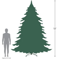 Northlight 12' Full Buffalo Fir Artificial Christmas Tree - Unlit -Northlight Sale Store 1227 65526.1724289805