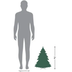 Northlight 2' Pre-Lit Slim White Artificial Christmas Tree - Green Lights -Northlight Sale Store 227201 00122.1690382963