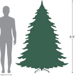 Northlight Real Touch™? Slim Layered Nordmann Fir Artificial Christmas Tree - Unlit - 6.5' -Northlight Sale Store 6.527 40894.1697819517