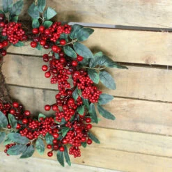 Northlight Red Berries And Two-Tone Green Leaves Artificial Christmas Wreath - 18-Inch, Unlit -Northlight Sale Store 90lqmycvkd028qtiy31xvhzypw0ab5sj 88747.1664119881