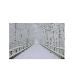 Northlight Small Fiber Optic Lighted Winter Wooden Bridge Canvas Wall Art 12" X 15.75"