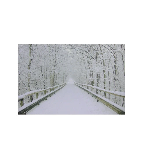 Northlight Small Fiber Optic Lighted Winter Wooden Bridge Canvas Wall Art 12" X 15.75" 1 Northlight Small Fiber Optic Lighted Winter Wooden Bridge Canvas Wall Art 12" X 15.75"
