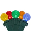 Northlight LED G12 Berry Christmas Lights - Multicolor - 16' Green Wire - 50 Ct