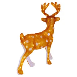 Northlight LED Lighted Commercial Grade Acrylic Reindeer Outdoor Christmas Decoration - 24" - Warm White -Northlight Sale Store northlight a92005 01 92004.1638200939
