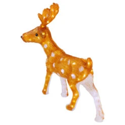 Northlight LED Lighted Commercial Grade Acrylic Reindeer Outdoor Christmas Decoration - 24" - Warm White -Northlight Sale Store northlight a92005 03 17755.1638200939
