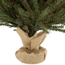 Northlight 3' Green And Brown Medium Warsaw Twig Artificial Christmas Tree - Unlit 7 Northlight 3' Green And Brown Medium Warsaw Twig Artificial Christmas Tree - Unlit -Northlight Sale Store northlight b03916 4new 33351.1669797774