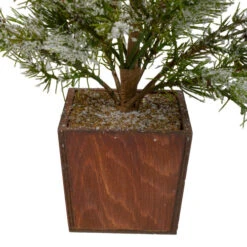 Potted Frosted Pine Artificial Christmas Tree - 28" – Unlit -Northlight Sale Store northlight gb90521 1 03227.1604888188