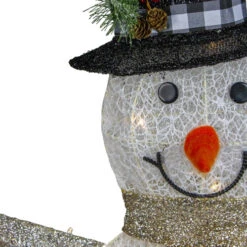 Northlight 49" White And Black LED Lighted Snowman With Top Hat Christmas Outdoor Decoration 7 Northlight 49" White And Black LED Lighted Snowman With Top Hat Christmas Outdoor Decoration -Northlight Sale Store northlight h87081 2 updated 55224.1665260248
