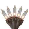 Northlight 100-Count Clear Mini Christmas Light Set, 20.25ft Brown Wire