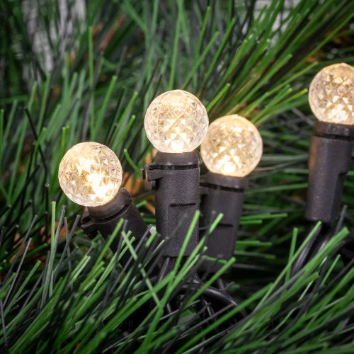 Northlight LED G12 Berry Christmas Lights - Warm White - 16' Black Wire - 50 Ct 2 Northlight LED G12 Berry Christmas Lights - Warm White - 16' Black Wire - 50 Ct - Image 2