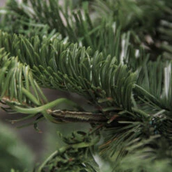 Northlight Real Touch™ Layered Nordmann Fir Artificial Christmas Tree - 7.5' - Unlit -Northlight Sale Store northlight j00083 3 85869.1600391949