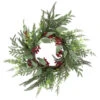 Northlight Mixed Foliage And Red Berries Artificial Christmas Wreath, 24-Inch, Unlit