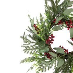 Northlight Mixed Foliage And Red Berries Artificial Christmas Wreath, 24-Inch, Unlit -Northlight Sale Store northlight ll94346 2 02044.1672910228