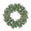 Northlight Pre-Lit Snow Mountain Pine Artificial Christmas Wreath - 24" - Clear Lights