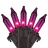 Northlight Mini Incandescent Christmas Light Set - Purple - 20.25' Black Wire - 100ct