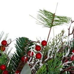 Northlight Dual Plaid And Berries Artificial Christmas Wreath - 24" - Unlit 6 Northlight Dual Plaid And Berries Artificial Christmas Wreath - 24" - Unlit -Northlight Sale Store northlight sm91188 close 46320.1664380278