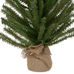 Northlight Traditional Scottsdale Mini Pine Artificial Christmas Tree With Burlap - 24" - Unlit 5 Northlight Traditional Scottsdale Mini Pine Artificial Christmas Tree With Burlap - 24" - Unlit -Northlight Sale Store northlight sm92960 3 44412.1653583890