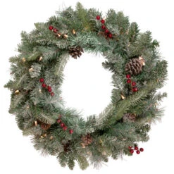 Northlight Pre-Lit Snowy Waterloo Pine Artificial Christmas Wreath - 24-Inch, Clear Lights
