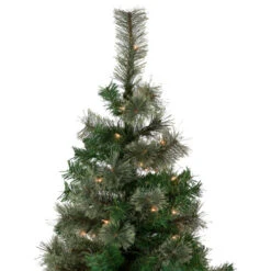 6.5' Pre-Lit Oregon Cashmere Pine Artificial Christmas Tree, Clear Lights 11 6.5' Pre-Lit Oregon Cashmere Pine Artificial Christmas Tree, Clear Lights -Northlight Sale Store northlight sm93024 3 23147.1652460145
