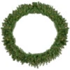 Northlight Pre-Lit Rockwood Pine Artificial Christmas Wreath, 48-Inch, Clear Lights