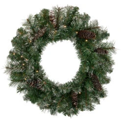 Northlight Pre-Lit Battery Operated Frosted Pine Christmas Wreath - 24" - Warm White LED Lights