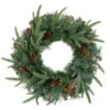 Northlight Pre-Lit Battery Operated Mixed Pine And Pine Cone Christmas Wreath - 24" - Warm White LED Lights