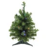 Northlight Pre-Lit Canadian Pine Artificial Christmas Tree - 18" - LED Multicolor Lights