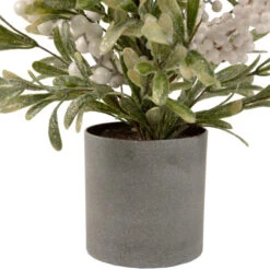 Northlight 2' Potted White Berry And Frosted Pine Christmas Tree, Unlit -Northlight Sale Store northlight vm92773 3 44407.1660325555