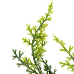 Northlight Apples And Berries Triple Pillar Christmas Candle Holder - 36" - Green And Red 13 Northlight Apples And Berries Triple Pillar Christmas Candle Holder - 36" - Green And Red -Northlight Sale Store northlight yk95973 05 71479.1722387420