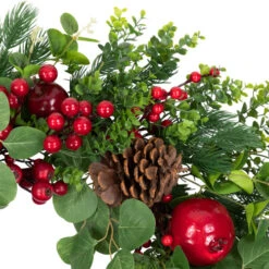Northlight Crabapple And Berries Boxwood And Pine Artificial Christmas Wreath - 26" - Unlit -Northlight Sale Store northlight yk95989 02 25184.1709061159