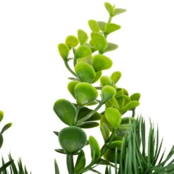 Northlight Crabapple And Berries Boxwood And Pine Artificial Christmas Wreath - 26" - Unlit -Northlight Sale Store northlight yk95989 04 63764.1709061160