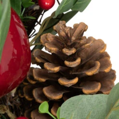 Northlight Crabapple And Berries Boxwood And Pine Artificial Christmas Wreath - 26" - Unlit -Northlight Sale Store northlight yk95989 05 72596.1709061160