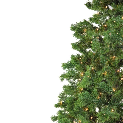 Northlight Real Touch™? Pre-Lit Green Mountain Pine Artificial Christmas Tree - 6.5' - Clear AlwaysLit Lights 2 Northlight Real Touch™? Pre-Lit Green Mountain Pine Artificial Christmas Tree - 6.5' - Clear AlwaysLit Lights - Image 2