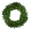 Northlight Real Touch™? Pre-Lit Canyon Pine Artificial Christmas Wreath - 60" - Clear LED Lights