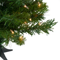 2' Pre-Lit Medium Royal Pine Artificial Christmas Tree - Clear Lights 8 2' Pre-Lit Medium Royal Pine Artificial Christmas Tree - Clear Lights -Northlight Sale Store northlight z00021 01019.1665610741