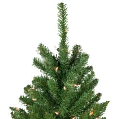 Northlight 12' Pencil White River Fir Artificial Christmas Tree, Clear Lights -Northlight Sale Store northlight z16022 3 14864.1723857307