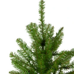 Northlight Full Northern Pine Artificial Christmas Tree - 16' - Unlit -Northlight Sale Store northlight z84652 2 70189.1682770831