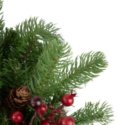 Northlight Real Touch™? Noble Fir With Berries Artificial Christmas Wreath - Unlit - 24" -Northlight Sale Store northlight z85364 3 updated2022new 40036.1665580039