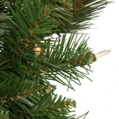 Northlight Mixed Beaver Pine Artificial Christmas Wreath, 24-Inch, Clear Lights -Northlight Sale Store northlight z92834 3 58552.1656092371