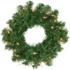 Northlight Pre-Lit Deluxe Dorchester Pine Artificial Christmas Wreath, 10-Inch, Clear Lights