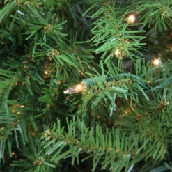 Northlight Pre-Lit Full Northern Pine Artificial Commercial Christmas Tree - 14' - Clear Lights 7 Northlight Pre-Lit Full Northern Pine Artificial Commercial Christmas Tree - 14' - Clear Lights -Northlight Sale Store xed53uy4o3jtaztfetq6n3esrkbyz6tw 27599.1726539042